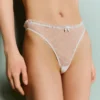 Dotted Mesh Briefs