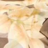 Floral Print Scarf Floral Print Scarf
