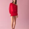 Long Sleeve Mini Dress with a Fitted Skirt