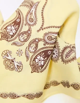 Paisley Print Bandana