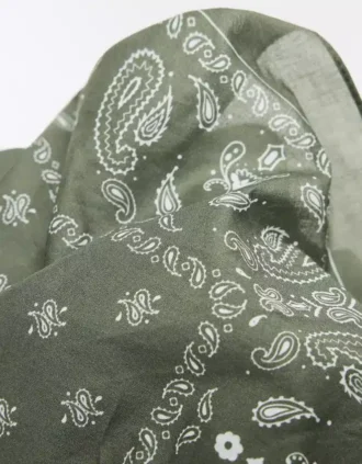 Paisley Print Bandana