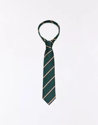 Striped Tie – Accessories – Men